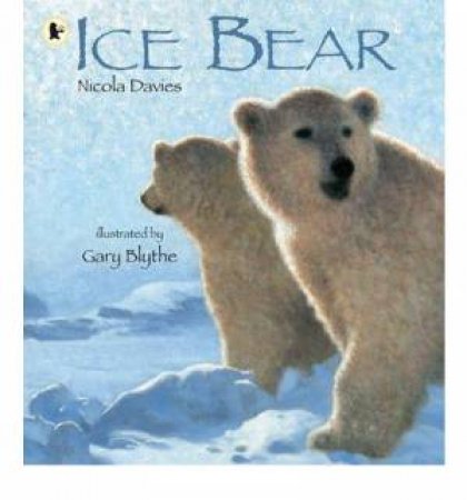 Ice Bear by Nicola Davies