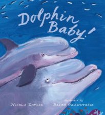 Dolphin Baby