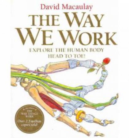 The Way We Work by David Macaulay