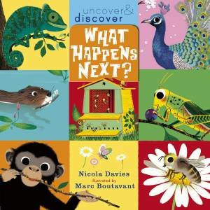 What Happens Next? by Nicola Davies & Marc Boutavant