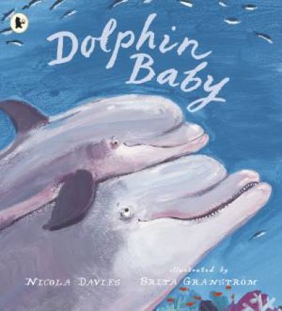 Dolphin Baby by Nicola Davies & Brita Granstrom