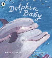 Dolphin Baby