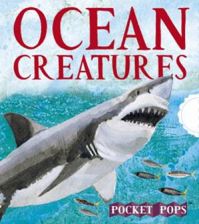 Ocean Creatures: A Three-Dimensional Expanding Pocket Guide by Sarah Young