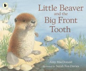 Little Beaver and the Big Front Tooth by Amy Macdonald