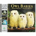 Story Book  DVD Owl Babies
