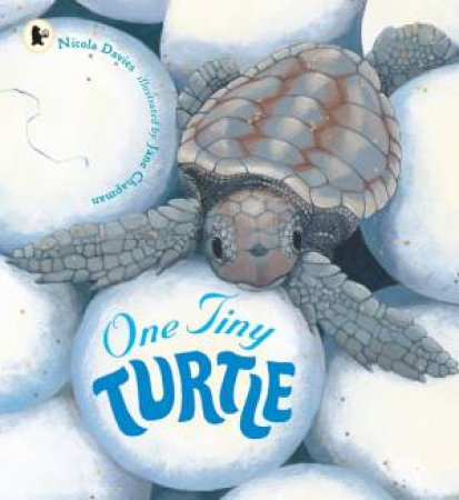 One Tiny Turtle by Nicola Davies & Jane Chapman