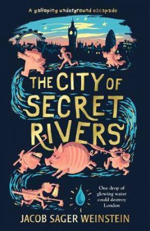 The City Of Secret Rivers by Jacob Sager Weinstein