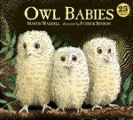 Owl Babies 25th Anniversary Edition Board Book