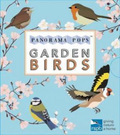 Garden Birds: Panorama Pops by Lorna Syson