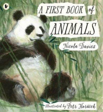 A First Book Of Animals by Nicola Davies & Petr Horacek