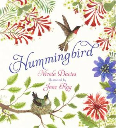 Hummingbird by Nicola Davies & Jane Ray