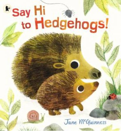 Say Hi To Hedgehogs! by Jane McGuinness