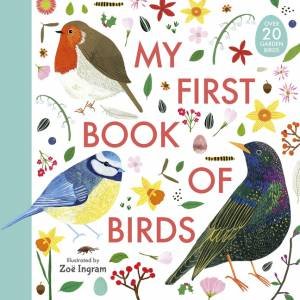 My First Book Of Birds by Zoe Ingram