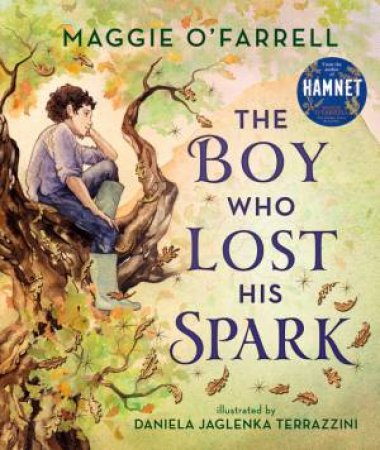 The Boy Who Lost His Spark by Maggie O'Farrell & Daniela Jaglenka Terrazzini