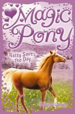 Natty Saves the Day by Elizabeth Lindsay