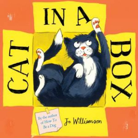 Cat In A Box by Jo Williamson