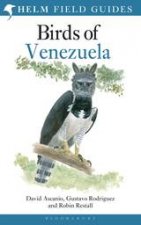 Birds Of Venezuela