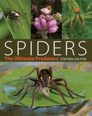 Spiders: The Ultimate Predators by Stephen Dalton