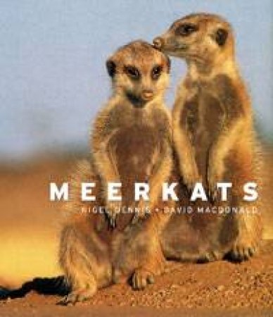 Meerkats by Nigel Dennis & David MacDonald