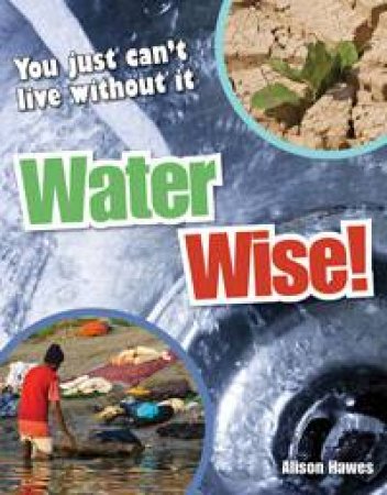 Water Wise!: White Wolves non-fiction 9-10 by Alison Hawes