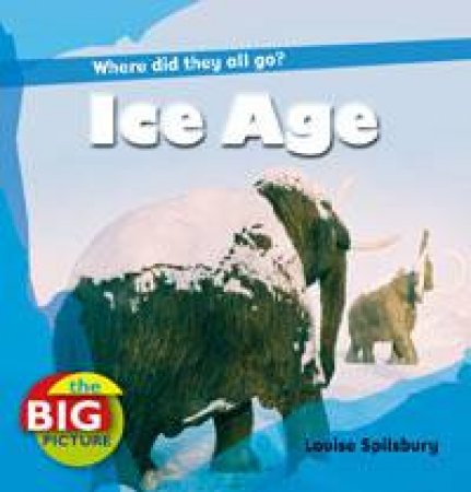 Ice Age: The Big Picture by Louise Spilsbury