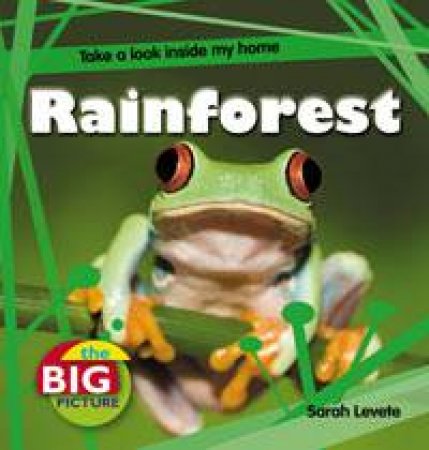 Rainforest: The Big Picture by Sarah Levete