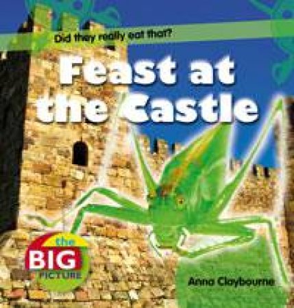 Feast at the Castle: The Big Picture by Anna Claybourne