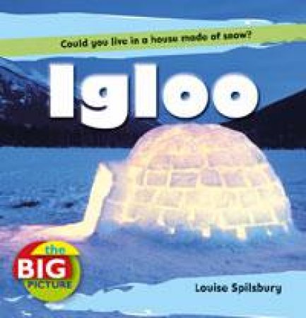 Igloo: The Big Picture by Louise Spilsbury