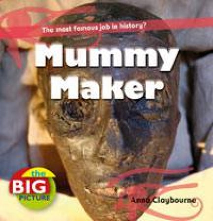 Mummy Maker: The Big Picture by Anna Claybourne