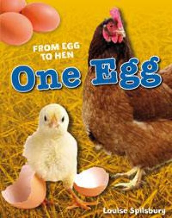 White Wolves Non-fiction 6-7: One Egg by Louise Spilsbury