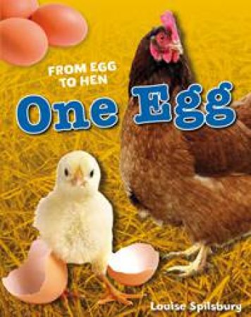 One Egg by Louise Spilsbury