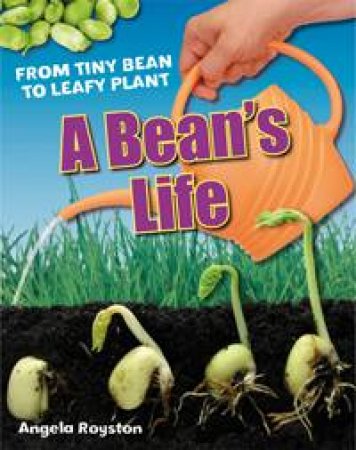 A Bean's Life by Angela Royston