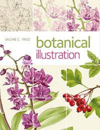 Botanical Illustration by Valerie C. Price