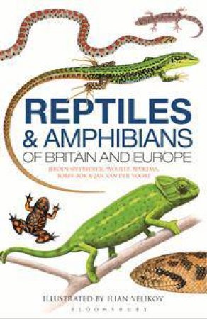 Reptiles And Amphibians Of Britain And Europe by Various