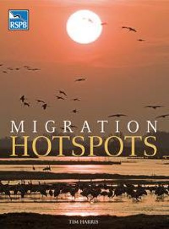 Migration Hotspots by Tim Harris