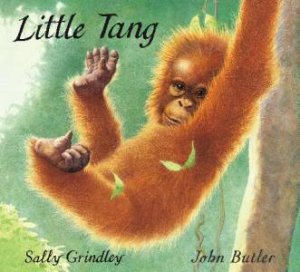 Little Tang by Sally Grindley