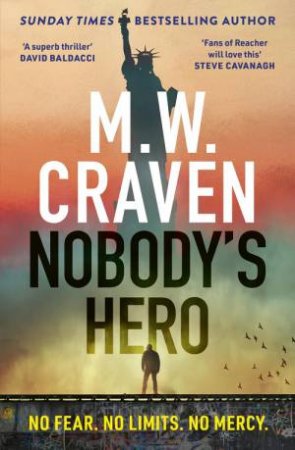 Nobody's Hero by M. W. Craven