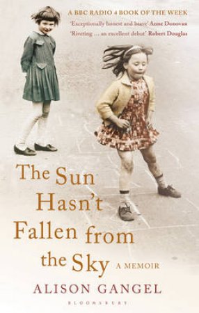 Sun Hasn't Fallen from the Sky by Alison Gangel