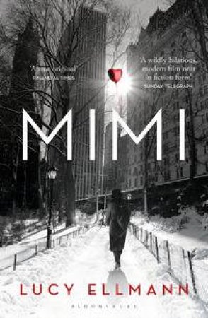 Mimi by Lucy Ellmann