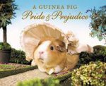 A Guinea Pig Pride And Prejudice