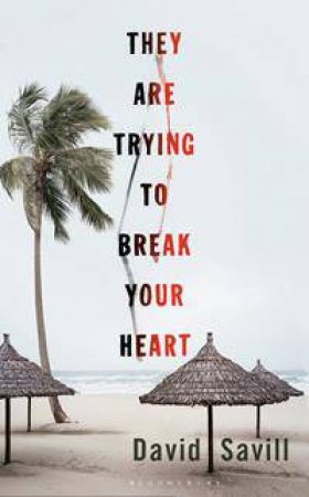 They Are Trying To Break Your Heart by David Savill