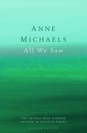 All We Saw by Anne Michaels