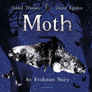 Moth by Isabel Thomas