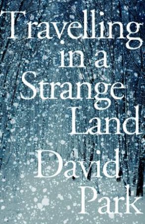 Travelling In A Strange Land by David Park