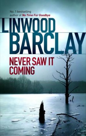 Never Saw It Coming by Linwood Barclay