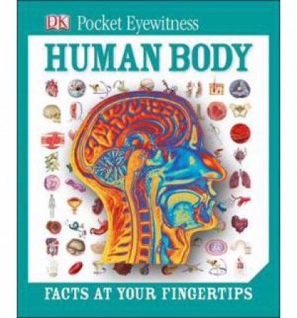 DK Pocket Eyewitness: Human Body by Kindersley Dorling