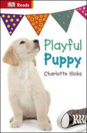 DK Reads: Beginning to Read: Playful Puppy by Charlotte Hicks