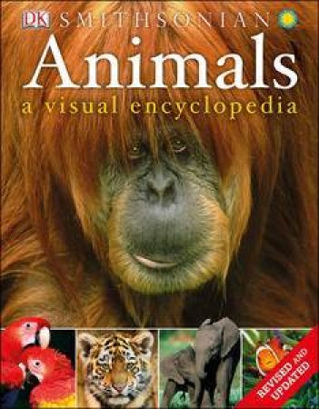 Animals: A Visual Encyclopedia by Various 