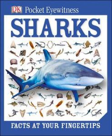 DK Pocket Eyewitness Sharks by Various