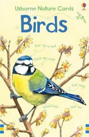 Usborne Nature Cards: Birds by Emily Bone